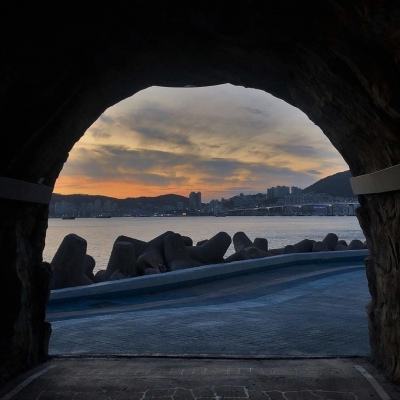 ManBetX客户端登录手机app下载