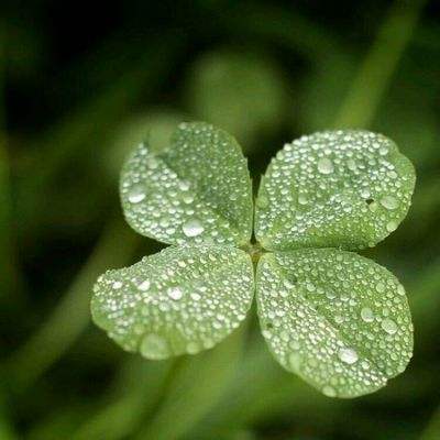 买电竞比赛输赢的app